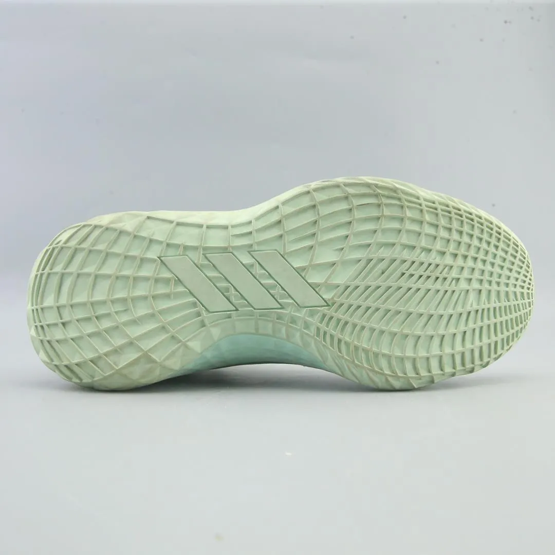 ADIDAS  HARDEN VOL. 5 FUTURENATURAL