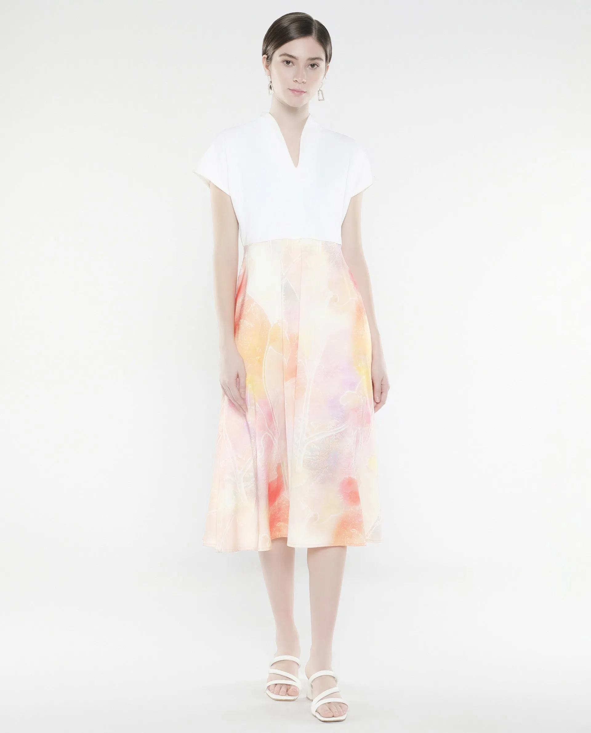 Rareism Women Usoppin Multi Extended Sleeves Built-Up Neck Zip Closure Fit And Flare Midi Abstract Print Dress